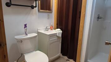 A bathroom with a toilet, sink, mirror, and shower area.