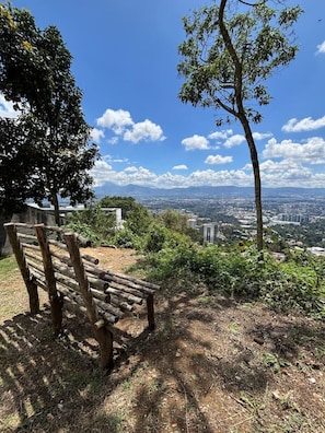A wooden bench in a natural setting with a view of a cityscape in the background.