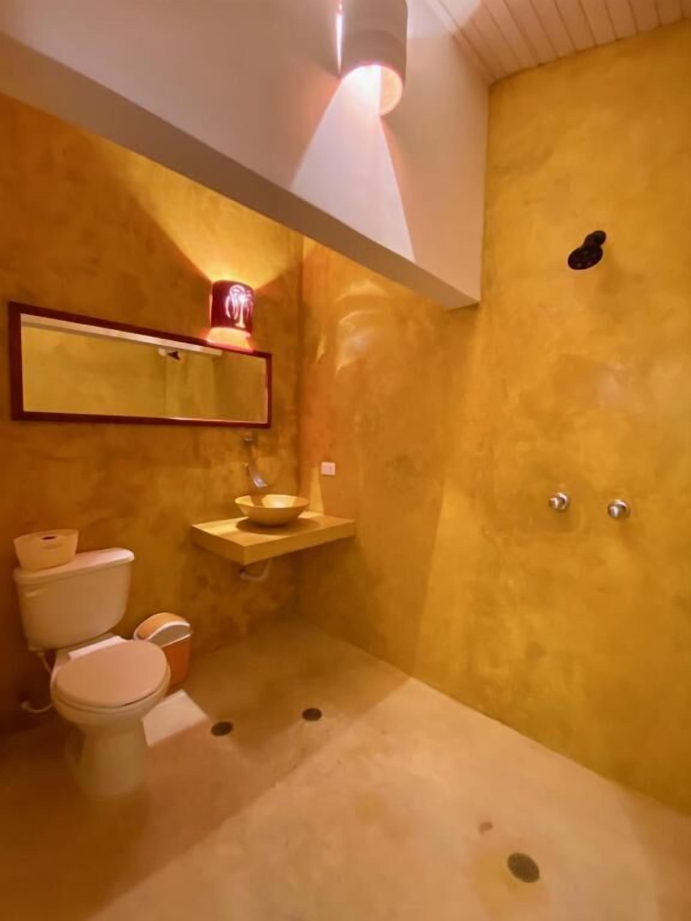 Shower, towels, toilet paper