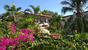 A building with a tiled roof, surrounded by lush greenery and palm trees. - Italcaribe Village (Paraguachí)