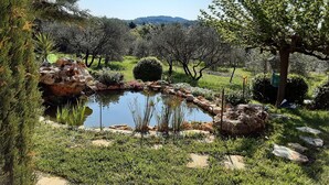 A garden with a pond, rocks, and various plants. - Provencal-style farmhouse with charm, swimming pool, and landscaped grounds on 6,200 m² (Draguignan)