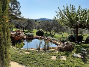 A garden with a pond, rocks, and various plants. - Provencal-style farmhouse with charm, swimming pool, and landscaped grounds on 6,200 m² (Draguignan)