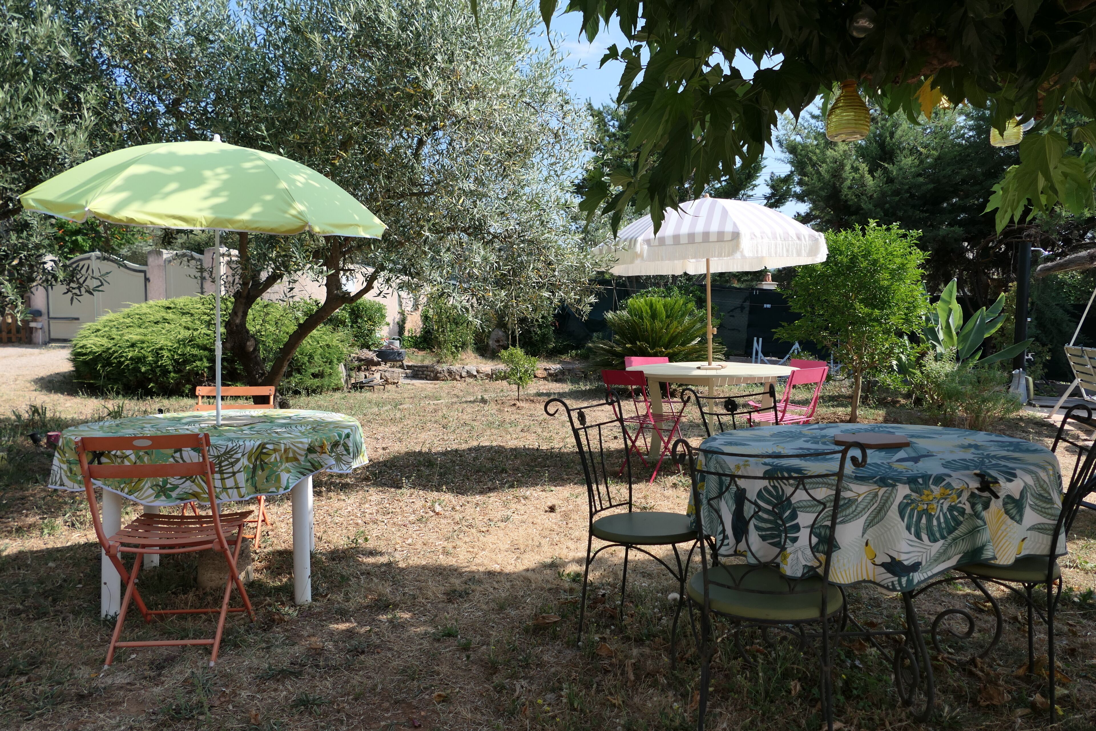 An outdoor seating area with tables and chairs, surrounded by trees and plants.
