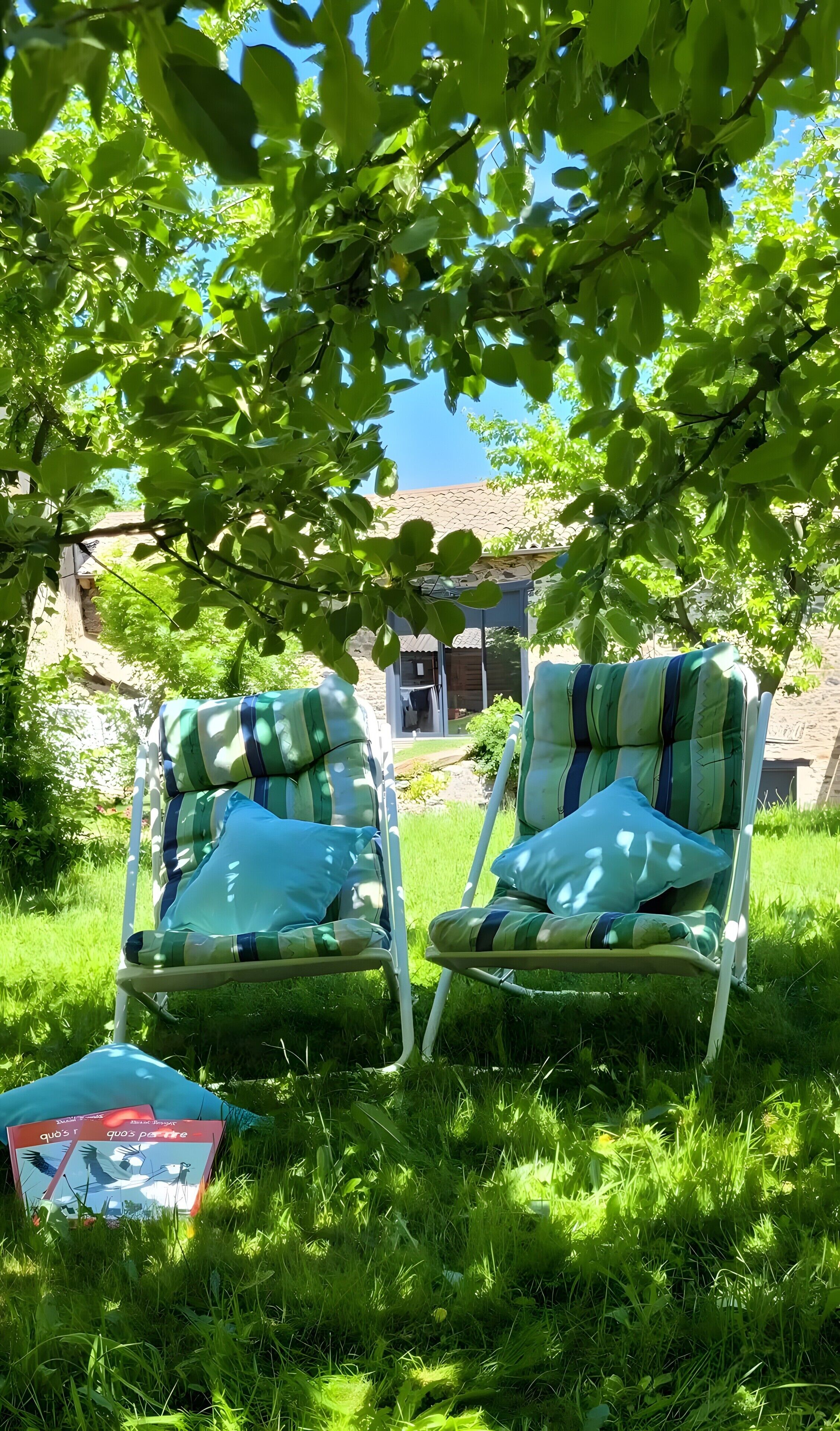Two outdoor chairs with striped cushions under a tree, a grassy area, and a building in the background.