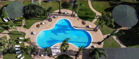 An aerial view of a swimming pool surrounded by palm trees and lounge chairs.