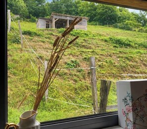 Blick aus dem Fenster auf eine ländliche Landschaft mit einer Holzhütte und einem Zaun.