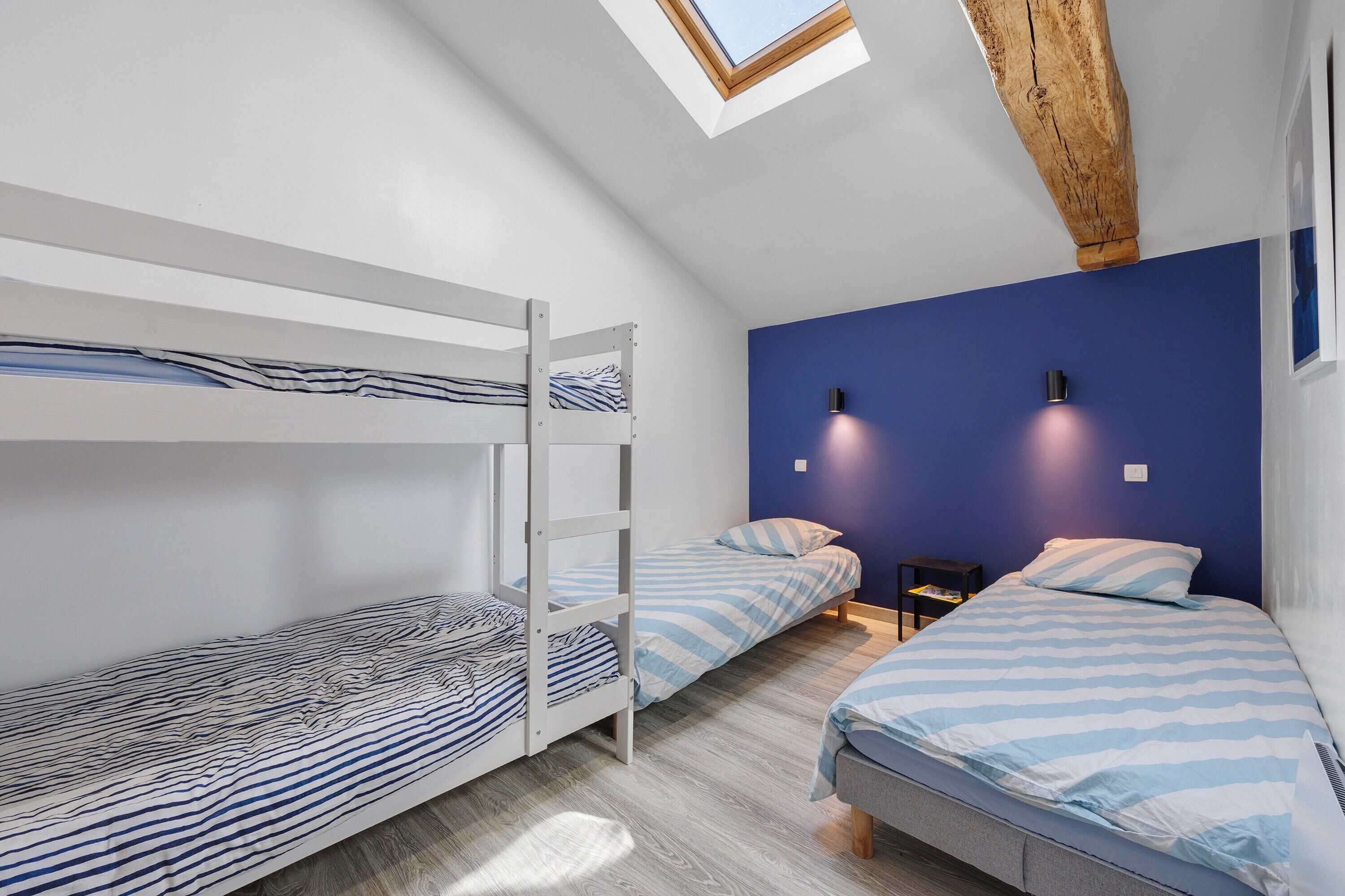 A dormitory room with bunk beds, a skylight, and a blue accent wall.