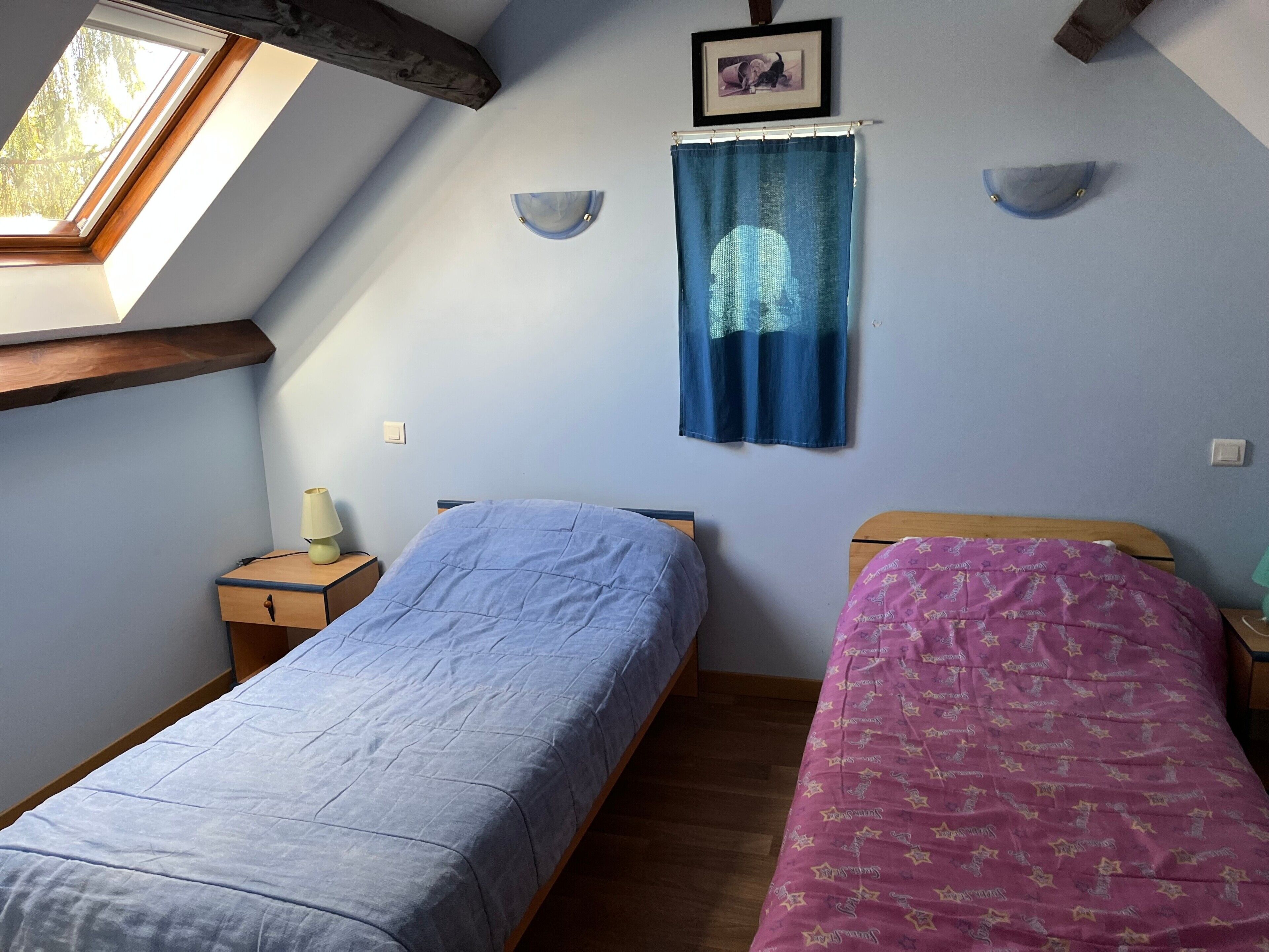 Une chambre avec deux lits, une lucarne, un tableau au mur et un rideau.