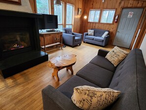 TV, fireplace, DVD player, books