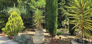 A garden with various potted plants, including a tall conifer and a palm-like plant with yellow leaves. - House with garden and jacuzzi - near city center (Saint-Tropez)