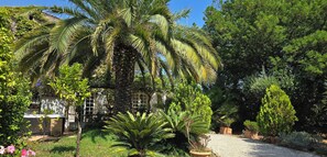 Un jardín con palmeras, un sendero de grava y un edificio con fachada blanca y ventanas.