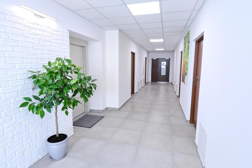 A hallway with white walls, a potted plant, and doors leading to rooms.