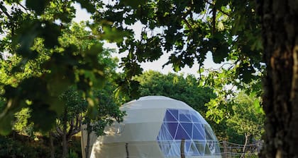 Soprana Geodesic Domes