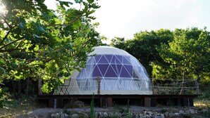 Une structure en forme de dôme géodésique, recouverte d’une paroi transparente, et entourée d’arbres et de rochers.