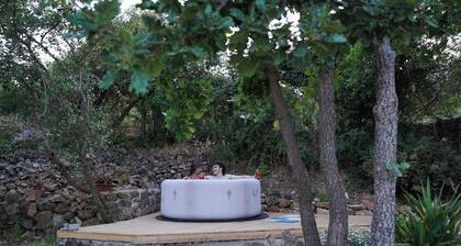 Mountain Eco-Lodge: Soprana Dome