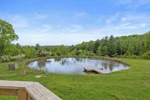 A pond with a wooden dock, surrounded by grassy areas and dense trees.