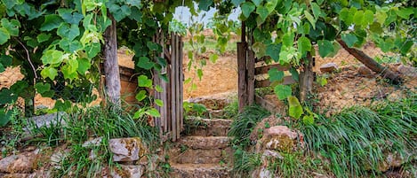Àrea exterior de l'allotjament