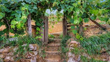 Un camino de piedra que atraviesa un viñedo con estructuras de madera tipo parra.