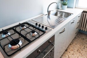 A kitchen with a gas stove, a sink, and a potted plant.