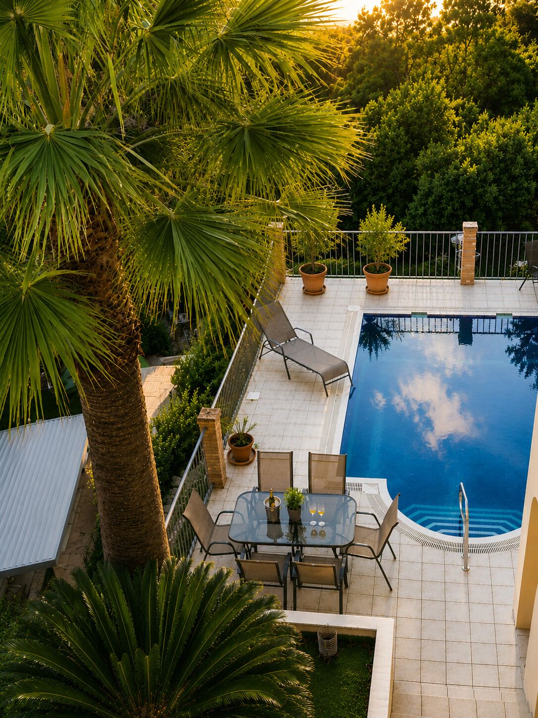 A swimming pool with a glass table and chairs, surrounded by potted plants and a palm tree.