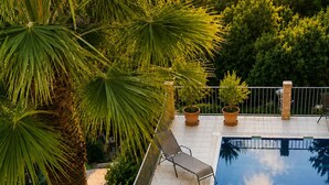 A swimming pool with a glass table and chairs, surrounded by potted plants and a palm tree. - Private villa with infinity pool, Hot Spring hot tub and views in Mijas (Mijas)