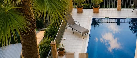 A swimming pool with a glass table and chairs, surrounded by potted plants and a palm tree.