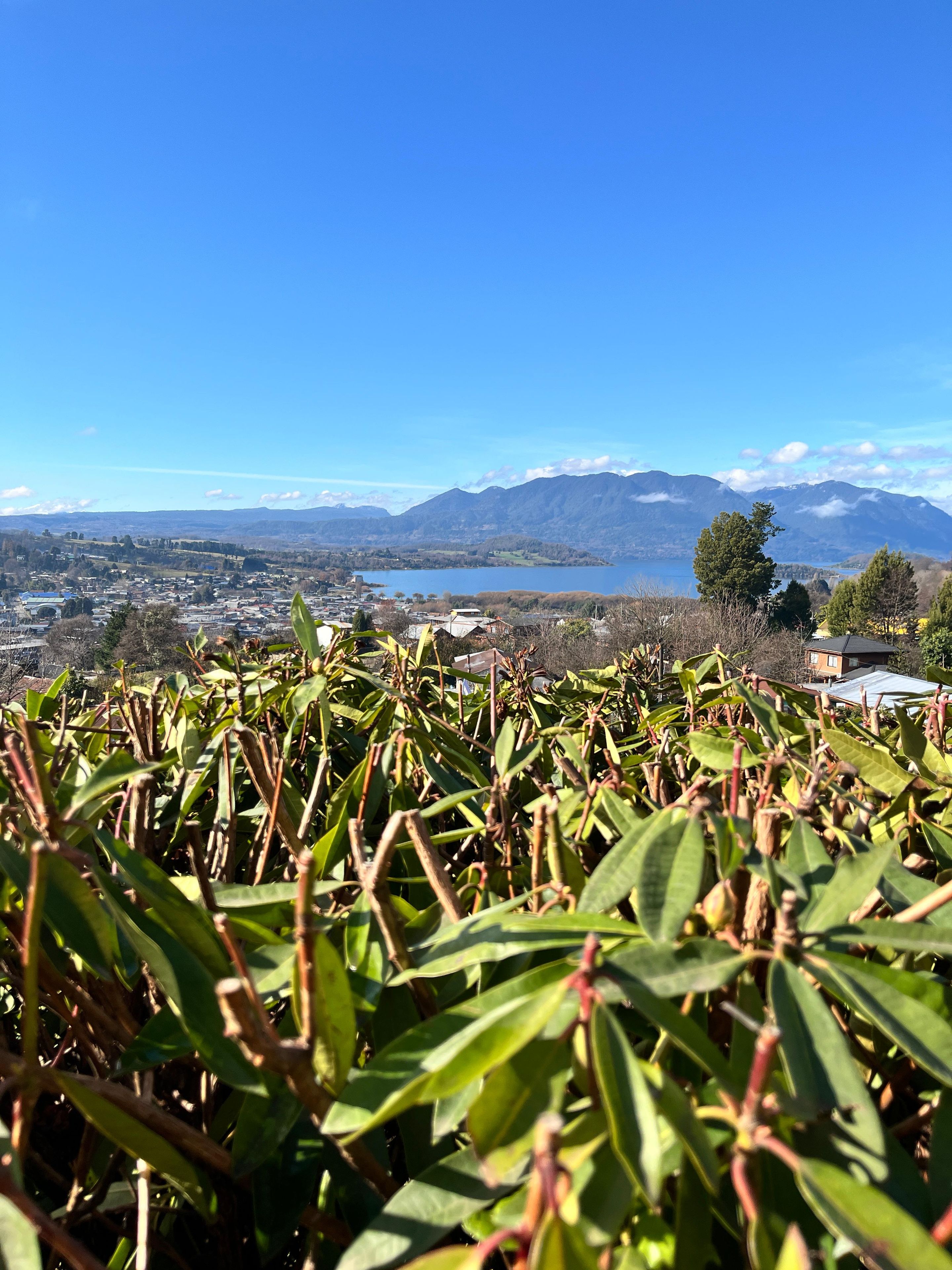 A view of a town with mountains in the background, a lake, and dense greenery in the foreground.