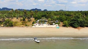 Una playa con una casa y palmeras al fondo.