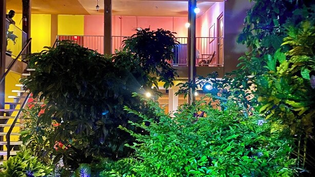 Ein Gebäude mit einer Treppe, die zu einem Balkon führt, umgeben von üppigem Grün.