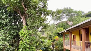Eine Hand, die eine Tasse Kaffee hält, ein gelbes Gebäude mit Balkon und ein Garten mit verschiedenen Pflanzen.