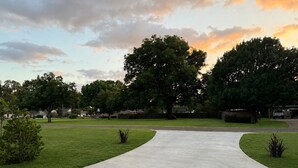 Un camí pavimentat que condueix a una zona residencial amb cases i arbres.