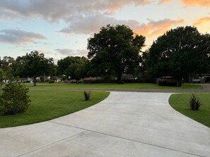 A paved pathway leading to a residential area with houses and trees.