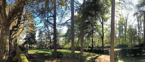 A forested area with a pathway, benches, and a small structure.
