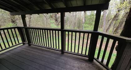 Cozy stay at Haliburton Forest. Trails, Wolf Centre, Canopy Tour, 100 lakes!