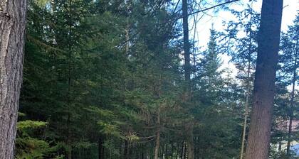 Bella's B&B: 60 Trillium X (Ferndale/ Lions Head)