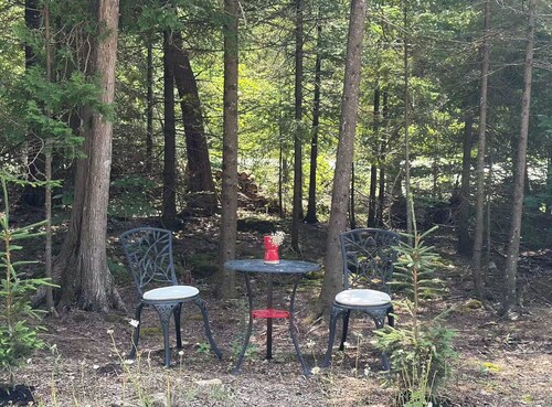 Bella's B&B: 60 Trillium X (Ferndale/ Lions Head)