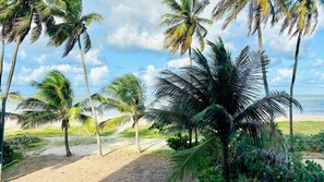 Eine Strandansicht mit Palmen und blauem Himmel.