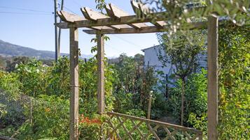 Un giardino con un pergolato in legno, diverse piante e un recinto.