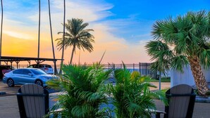 An outdoor seating area with chairs and plants, a palm tree, and a view of the sunset. - Colorful Coastal Retreat Near Honeymoon Island Beaches (Dunedin)