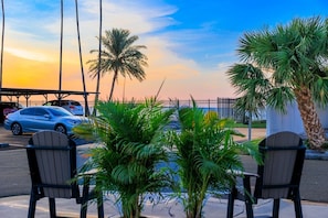 An outdoor seating area with chairs and plants, a palm tree, and a view of the sunset. - Colorful Coastal Retreat Near Honeymoon Island Beaches (Dunedin)