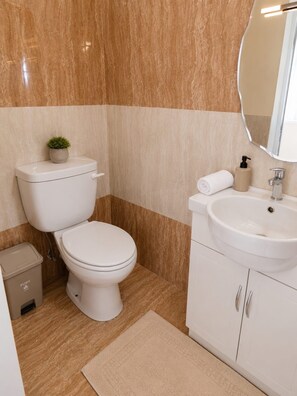 Et badeværelse med toilet, vask og spejl.
