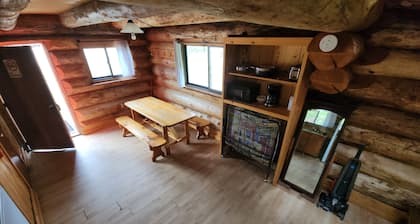 Log cabin stay at Haliburton Forest. Trails, Wolf Centre, Canopy Tour, 100lakes!
