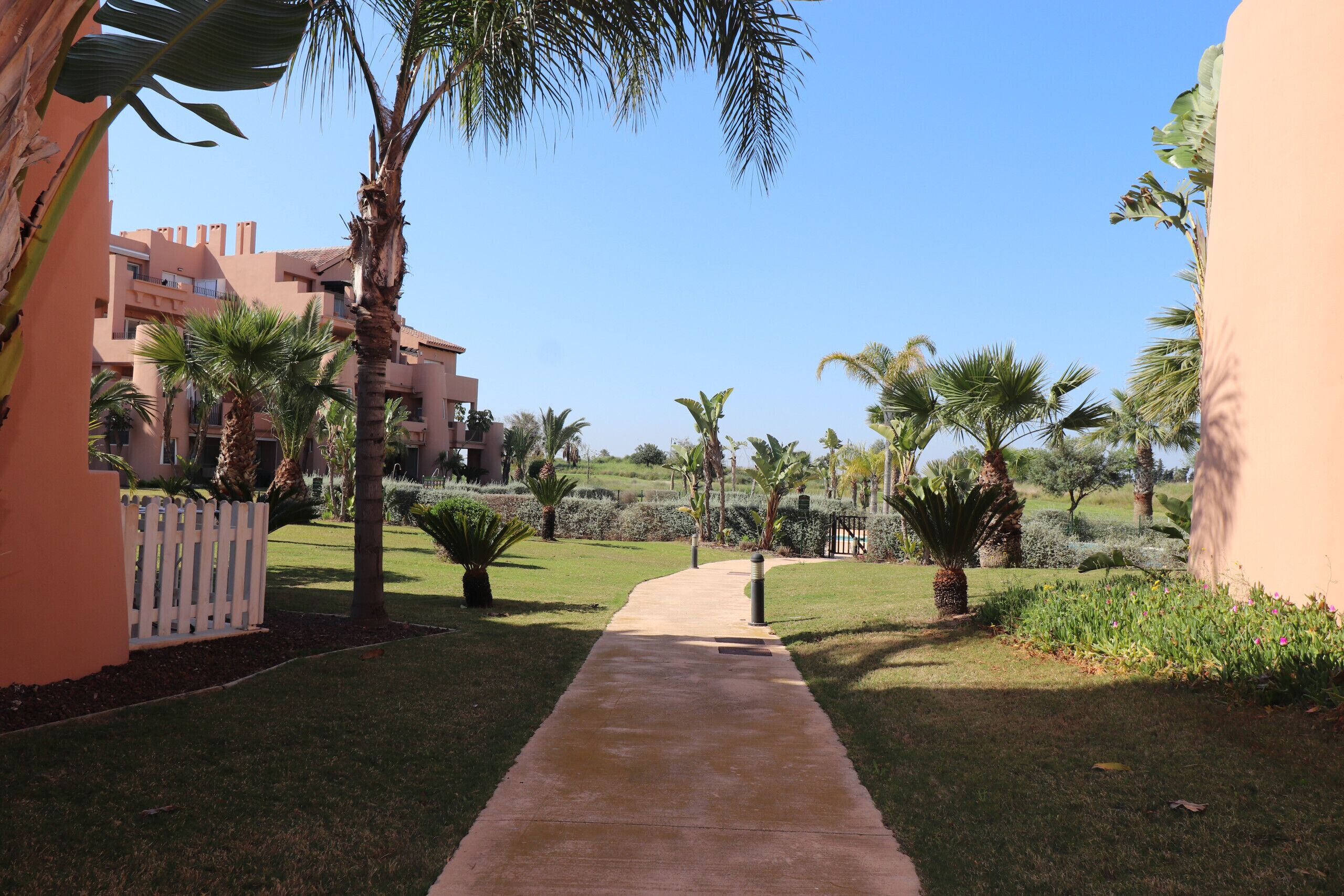 A pathway leading through a landscaped area with palm trees and a building with balconies.