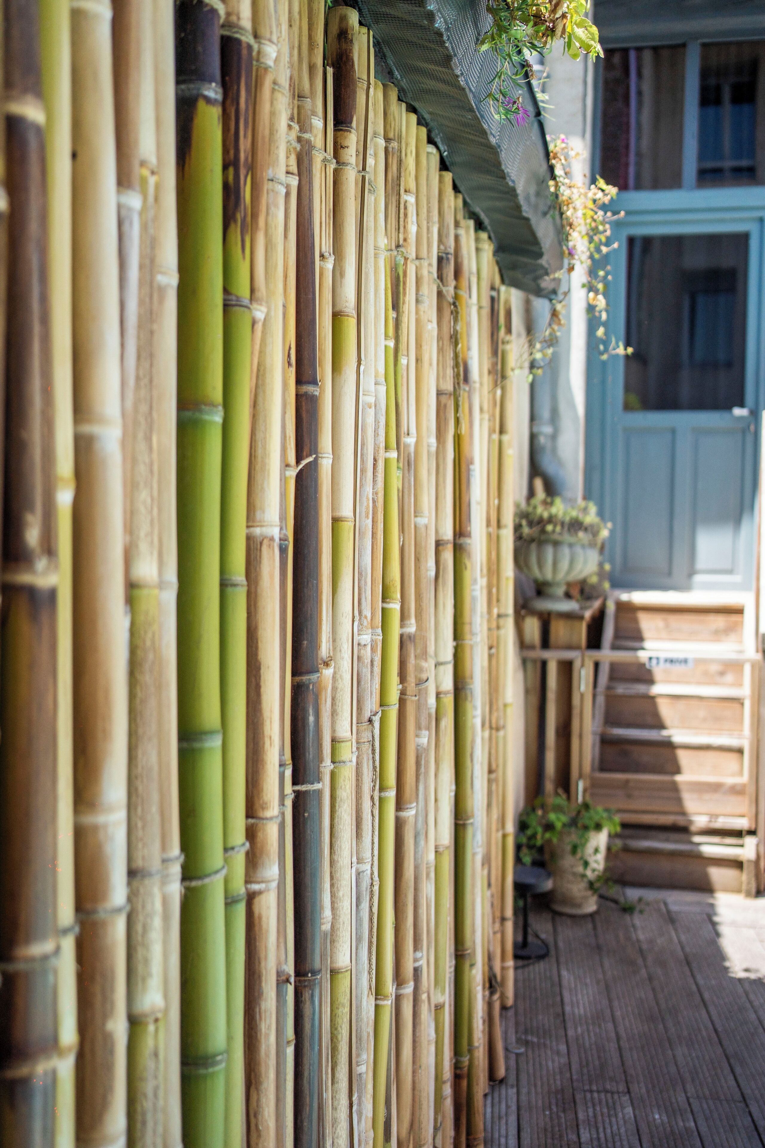 A bamboo fence with a wooden deck and a blue door in the background.