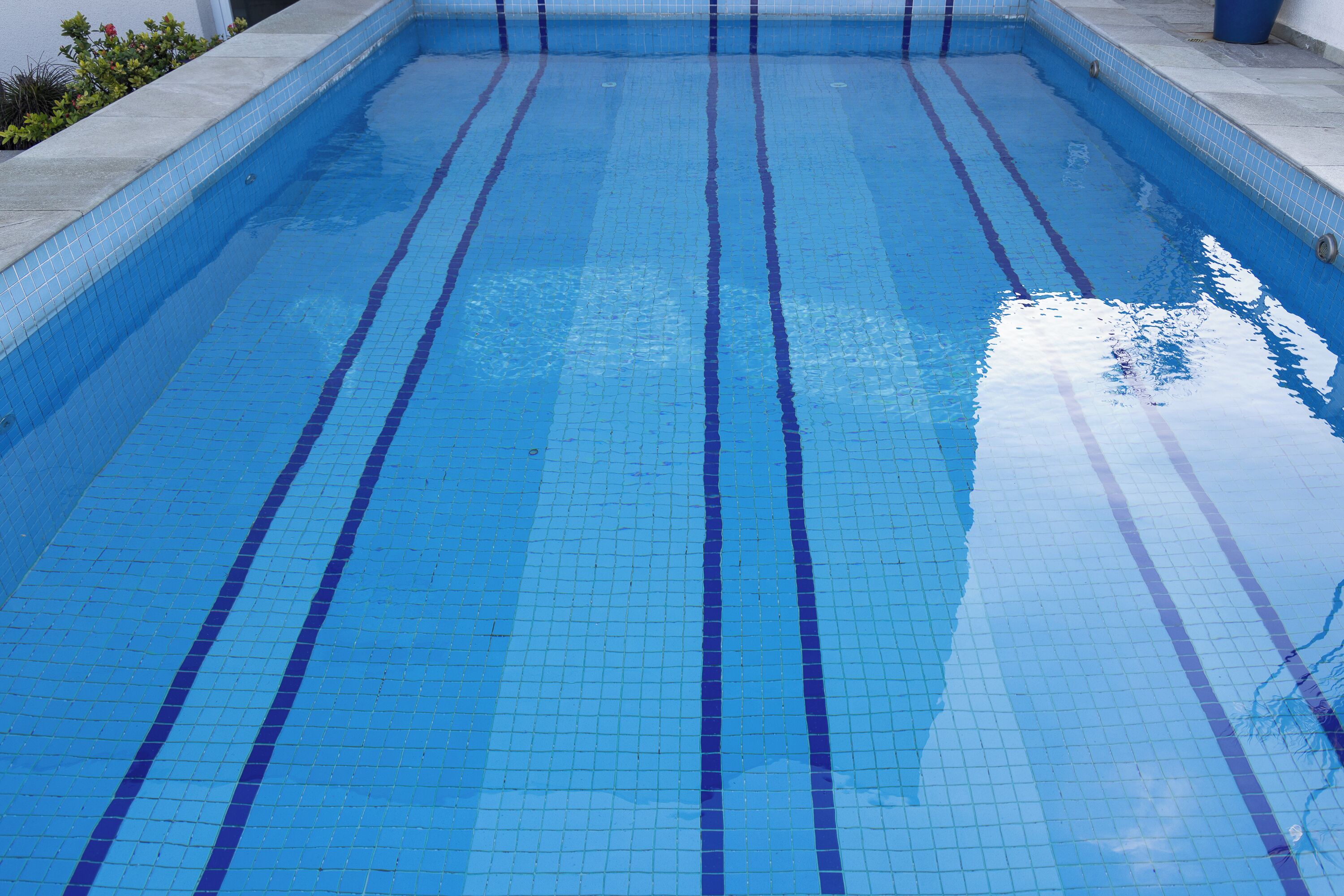 A swimming pool with clear blue water and tiled edges.
