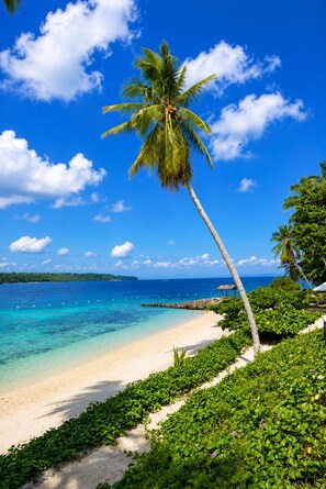 A beach with a palm tree, clear blue water, and a distant shoreline. - CASA CHOY SUITES at Kembali Coast with Balcony Island Escape Pool & Beach Access (Samal)