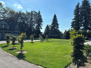 A well-maintained grassy area with a basketball hoop, surrounded by trees and a house in the background.