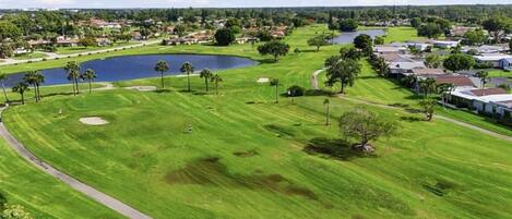 A golf course with a pond, palm trees, and residential buildings in the background.