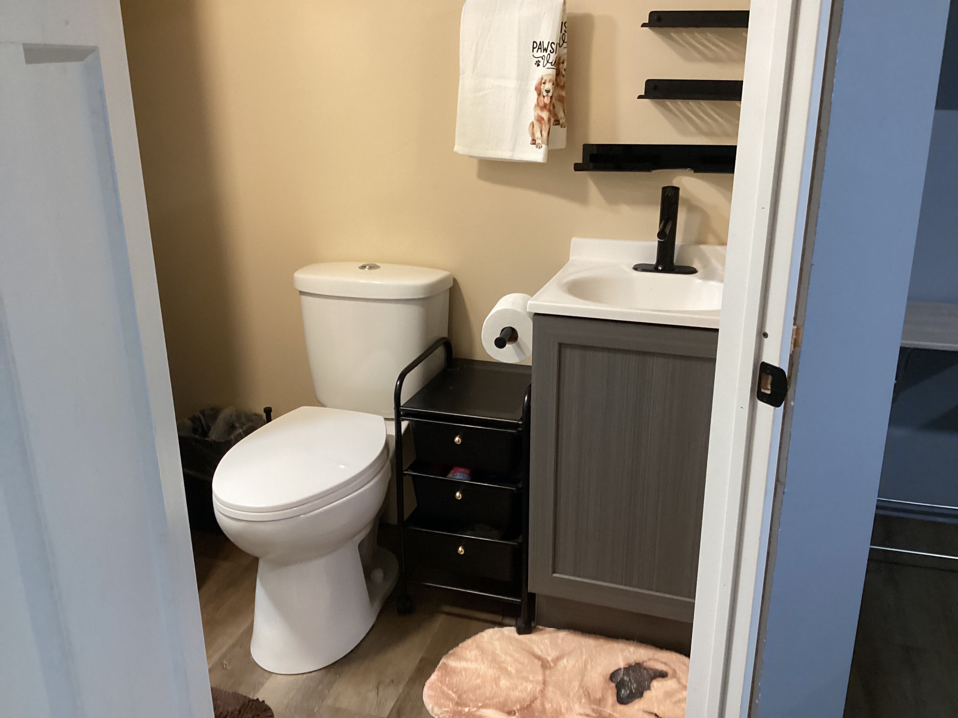 Shower, towels, soap, toilet paper