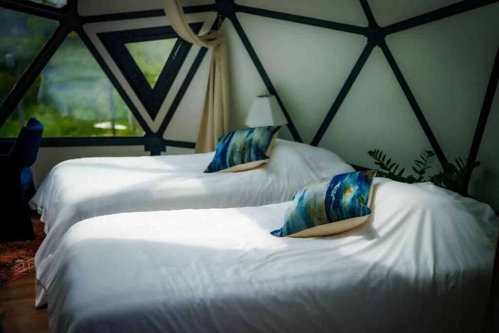 A room with two beds, each with a pillow, a window, and a plant.